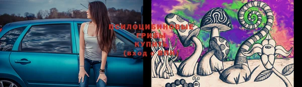 соль ск Нефтегорск