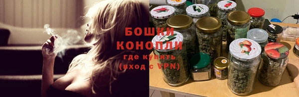 хмурый Нея