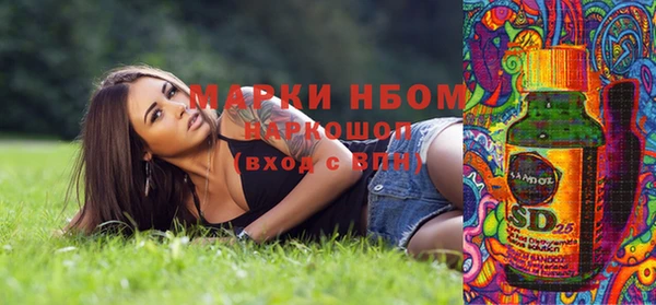 хмурый Нея