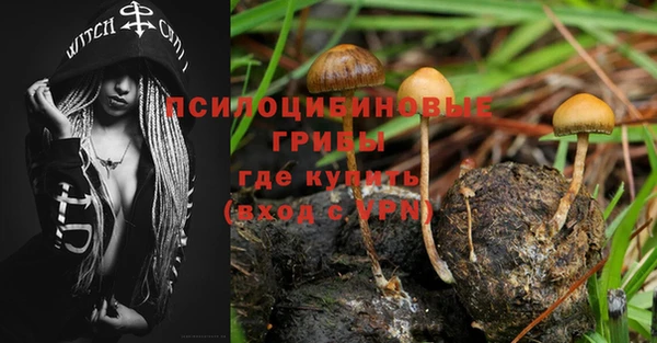 соль ск Нефтегорск