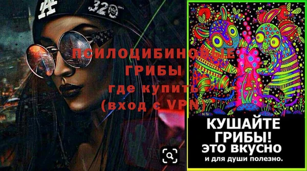 хмурый Нея