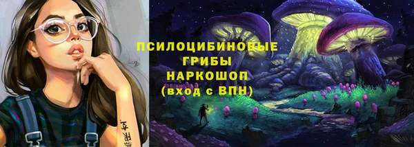 хмурый Нея