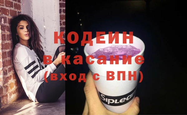 хмурый Нея