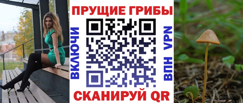 Галлюциногенные грибы Psilocybe  Хабаровск 
